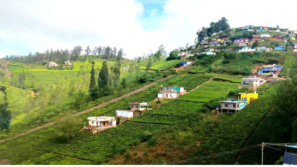 ooty